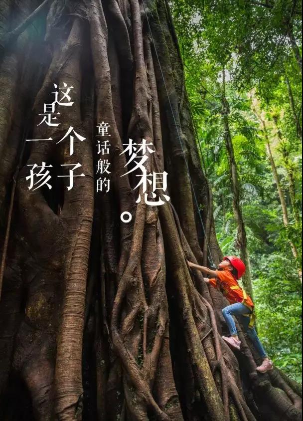 西雙版納研學旅行夏令營