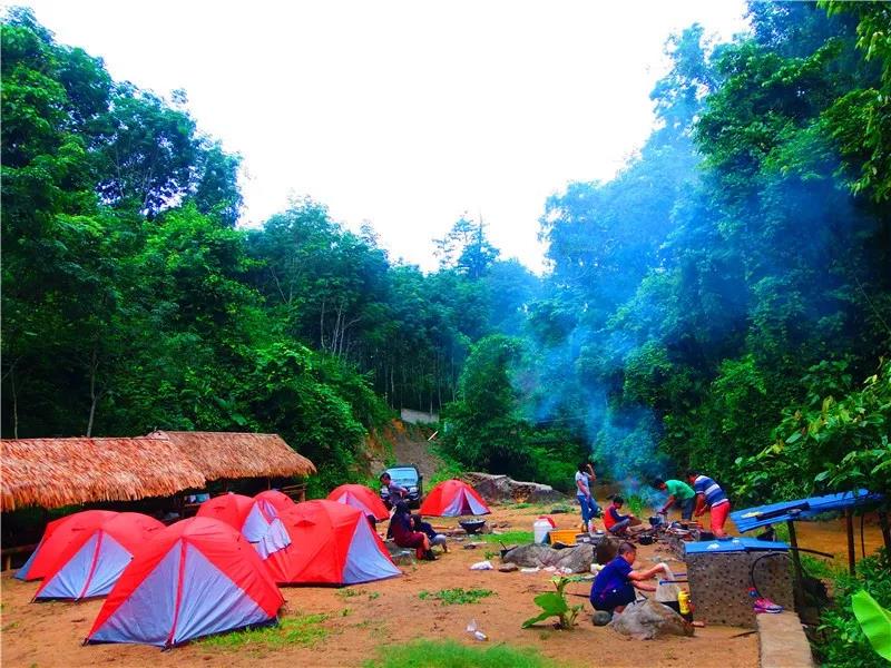 西雙版納夢幻星球：雨林，傣鄉，動植物王國，綠色環保教育7天6晚探秘營