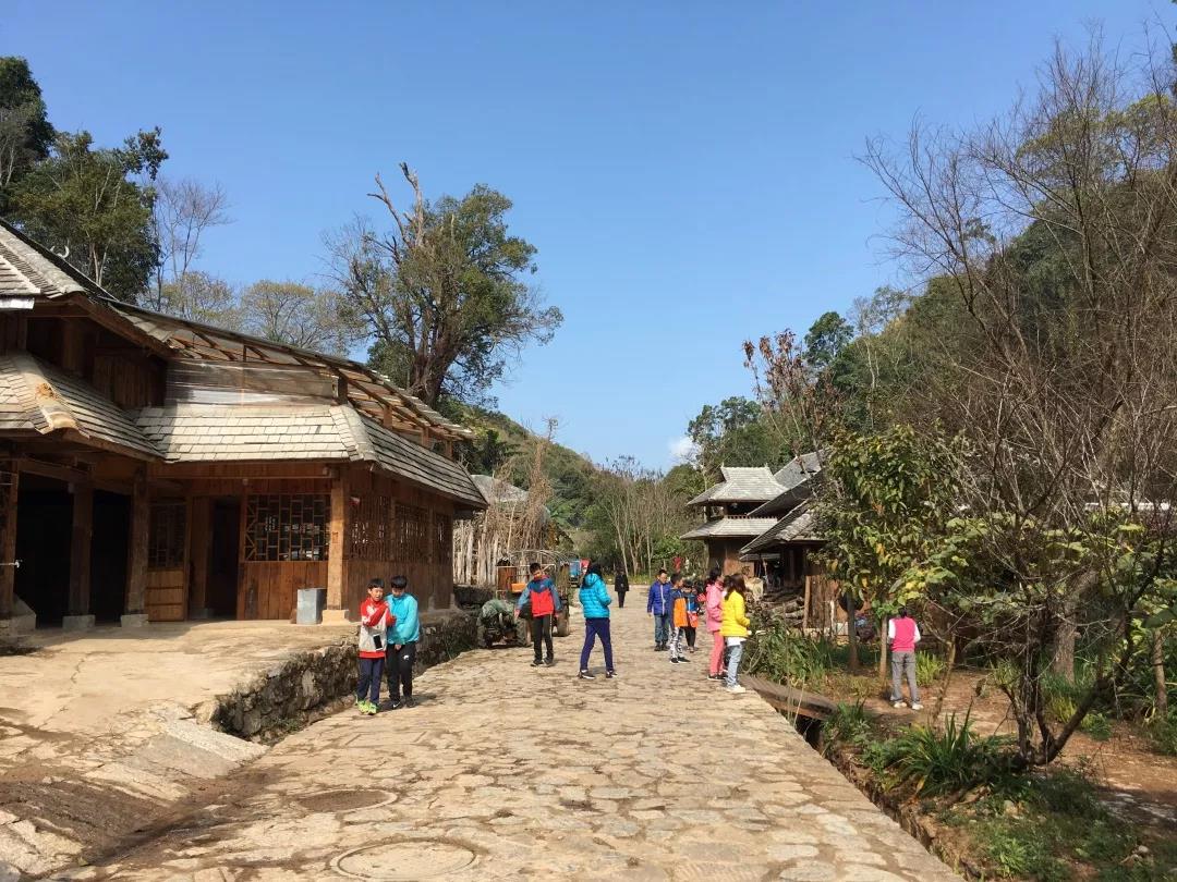 西雙版納研學(xué)夏令營