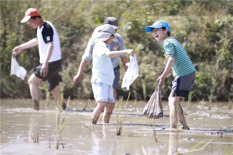 西雙版納研學(xué)夏令營