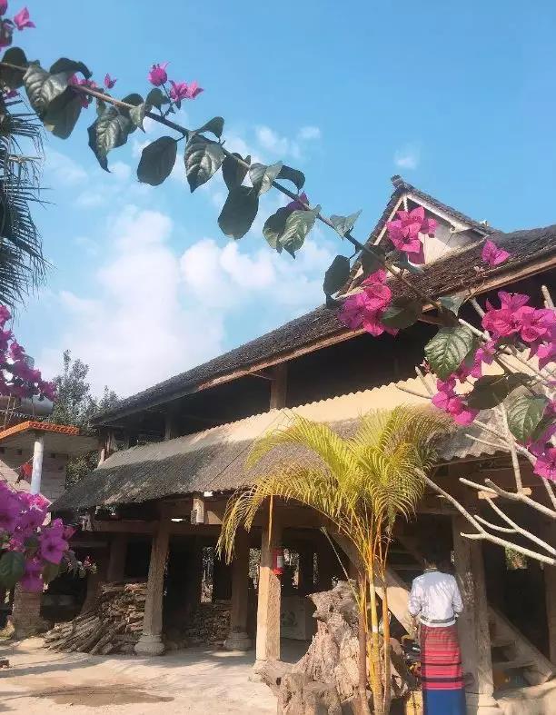 西雙版納研學(xué)夏令營
