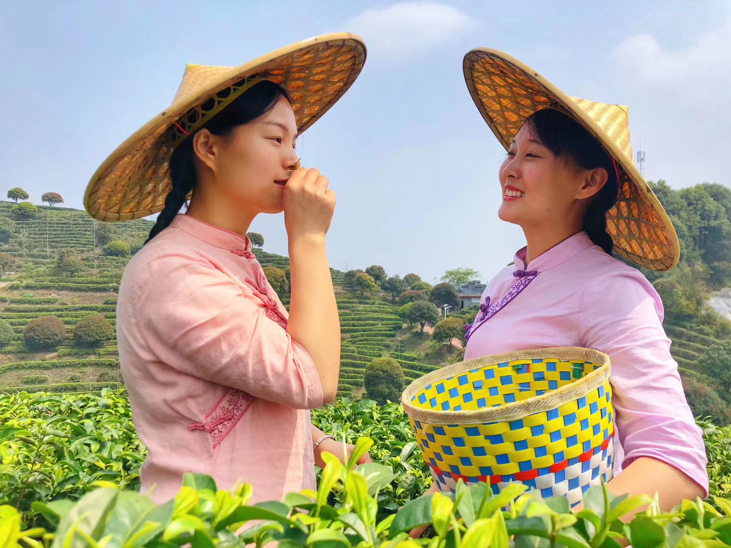西雙版納研學(xué)夏令營
