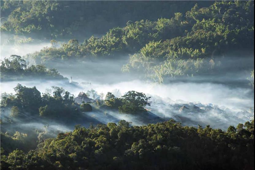 西雙版納旅游度假區 | “象”往的生活·喧囂世界，心靈安放何處？