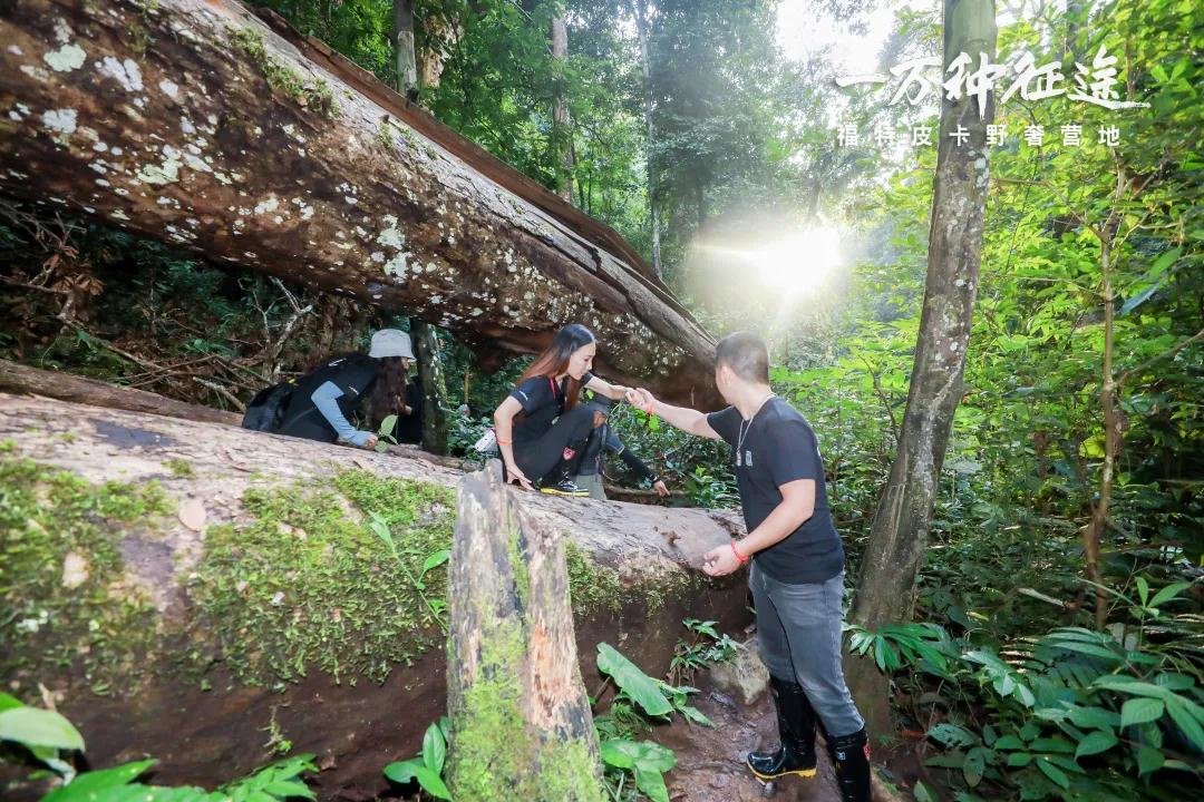 步穿越西雙版中國的亞馬遜熱帶雨林大型團建體驗