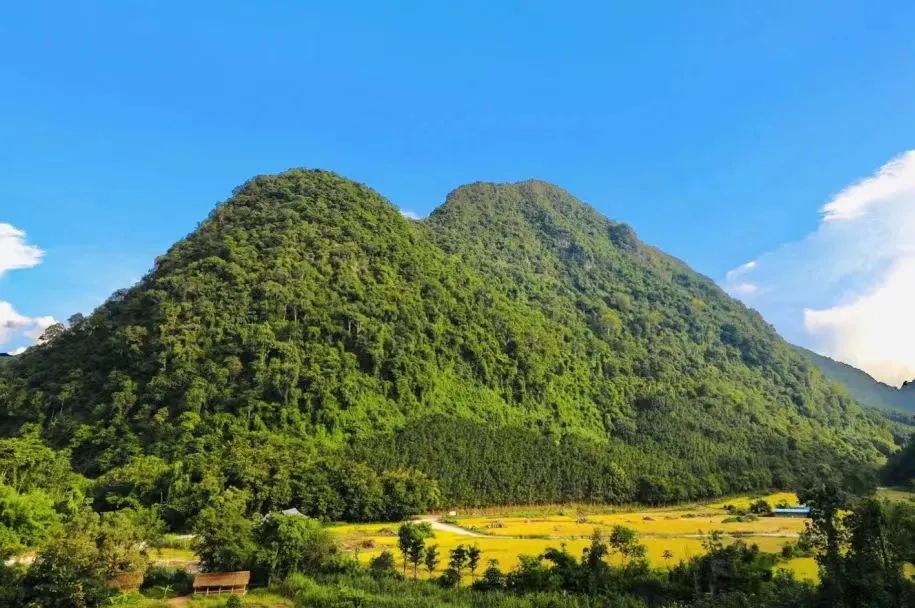 探索夢幻秘境，解鎖勐遠仙境：一場說走就走的自然奇遇之旅